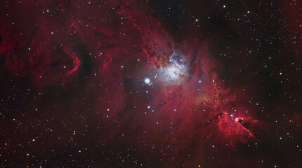 Wall Mural - the christmas tree cluster and cone nebulae