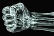 Clenched fist in an Xray, bones of the hand highlighted, stark monochrome