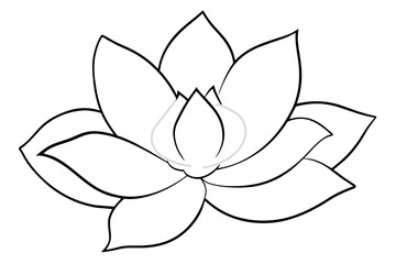 Sticker - magnolia, flower vector illustration