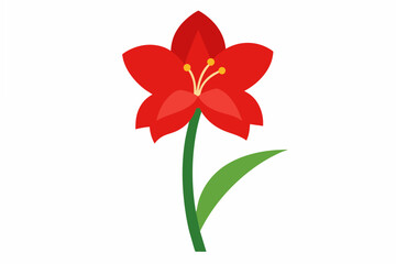 Wall Mural - amaryllis flower vector illustration