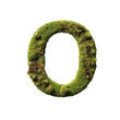 © Brad - Moss Covered Letter O. A photo of a 3D letter O covered in moss.