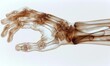 © NeeArtwork - Xray side view of a hand stretching its fingers, clear bone outlines, detailed texture