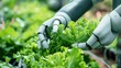 © LVSN - close up smart farming agricultural technology and smart arm robots harvesting vegetables