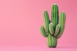 Close-up of a green cactus on a pink background, minimalistic design

