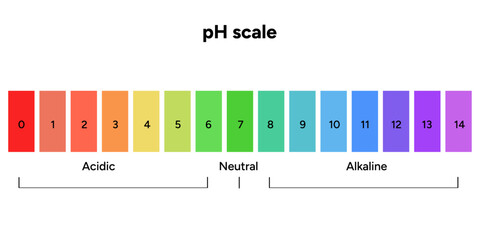 Ph scale infographic
