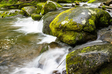 Wall Mural - Roaring Fork Stream Cascading Over Moss Covered Boulders, Roaring Fork Nature Trail, Great Smoky Mountains National Park, Tennessee, USA
