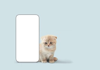 Poster - Cute small cat and big smartphone with blank screen