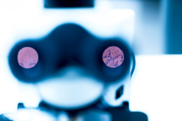 Wall Mural - Selective focus human cells tissue in eyepiece of microscope in laboratory.Examining histological sample, a biopsy in the laboratory of cancer research.Medical patholology and cytology laboratory.