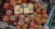 Image of changing numbers and graphs moving over fresh tomatoes for sale in market
