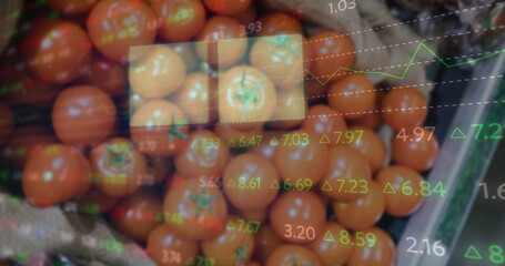 Poster - Image of changing numbers and graphs moving over fresh tomatoes for sale in market