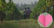 Image of pink paper heart over rear view of couple standing in countryside vineyard