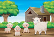 Cute sheeps cartoon in the farm