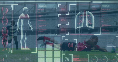 Wall Mural - Image of digital interface with data processing over football players