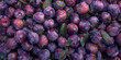 Fresh Plums as background Fresh Plums
