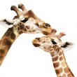 A Giraffe s Curious Gaze in Soft Pastel Tones