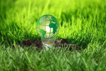 Wall Mural - renewable energy. glass world globe