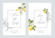 Wedding invitation. Lemon illustration. hand-drawn frame.