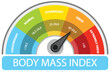 Colorful BMI gauge showing weight categories
