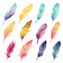 Naklejka na meble A bunch of colorful feathers.