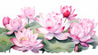 many pink lotus white background drawing abstract decorative painting