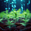 cannabis little seedlings of the plant generative ai