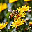 a busy bee buzzes among the bright yellow daisies spreading pollen from the herbaceous plants,generate ai