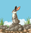 Vector illustration of a rabbit sitting on rocks