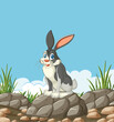Cartoon rabbit sitting on rocks under blue sky