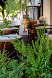 Fototapeta  - restaurant terrace with different plants