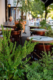 Fototapeta Tulipany - restaurant terrace with different plants