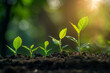 © Tohamina - A conceptual image showcasing the growth of green investments, symbolized by a leaves, indicating profitable returns from sustainable and eco-friendly business ventures