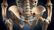 Extreme closeup of a pelvic bone structure, highlighting its robustness and significance in supporting the body's weight.