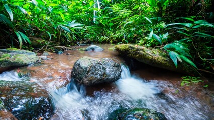 waterfall in the forest