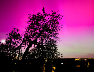 Wall Mural - aurora over the field in the night in germany