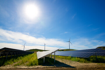 Wall Mural - Solar panels for renewable electricity production and wind turbines