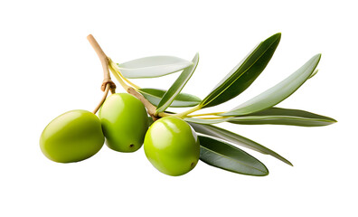 olive png, green olive png, green olive fruit png, olive with branch png, group olive fruit png, oli