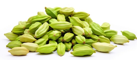 Poster - A close up shot displaying green cardamom pods isolated on a white background with copy space available for text or images It represents a spices food and cooking concept
