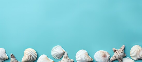Aufkleber - Aesthetic monochrome flat lay with seashells on a turquoise background symbolizing summer Vacation concept captured from above with long shadows and copy space for images