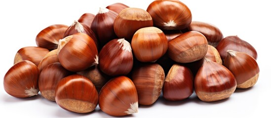 Aufkleber - A top down view of a pile of sweet chestnuts isolated on a blank white background The copy space image showcases fresh chestnuts ready for roasting