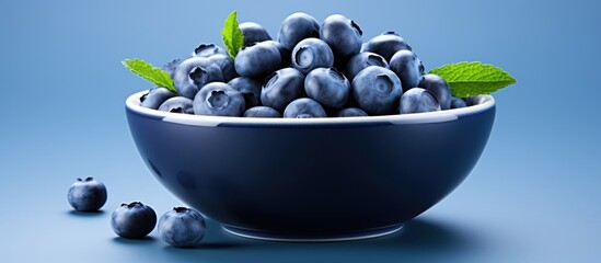 Aufkleber - A bowl filled with juicy and fresh blueberries perfect for promoting the concept of healthy eating and nutrition A copy space image with room for text