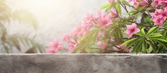 Aufkleber - Sunny day with textured wall backdrop features branches of oleander tree displaying a green leaf border Ample copy space available