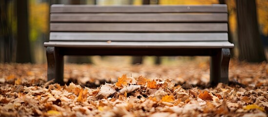 Aufkleber - A wooden bench covered with dead leaves providing an empty space for a copy space image