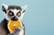 Lemur is playfully holding an orange slice in its mouth, patel banner with copy space for text