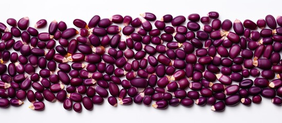 Poster - A flat lay of purple corn or maize with isolated seeds on a white background allowing for ample copy space image