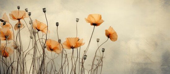 Poster - An image of a textured old paper background featuring dry seed pods of breadseed poppy. with copy space image. Place for adding text or design