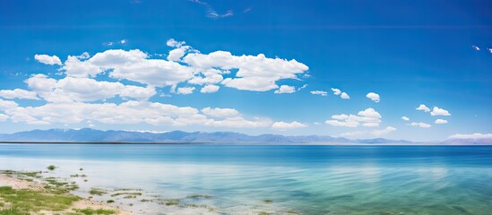 Poster - A picturesque landscape of QingHai lake with a panoramic view showcasing the serene bluesky and tranquil lake waters ideal for copy space images