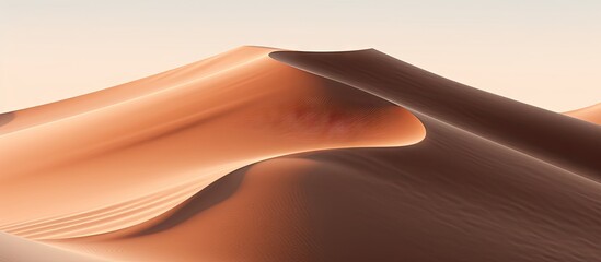 Poster - A Sahara Desert landscape featuring sand dunes with intricate patterns and contrasting shadows perfect for a copy space image