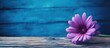 A purple flower stands out on a abstract blue wooden background creating a visually compelling copy space image