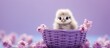 Lilac background with cute little chick in a basket featuring copy space image