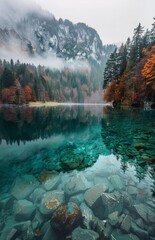 Sticker - Water Body Surrounded by Trees and Rocks